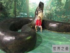 泰坦巨蟒早在五千年前灭绝，体重可以超过一千千克