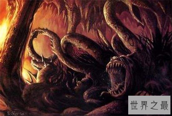 南非海怪浑身长满白毛，根据描述几乎确定是长毛鱼