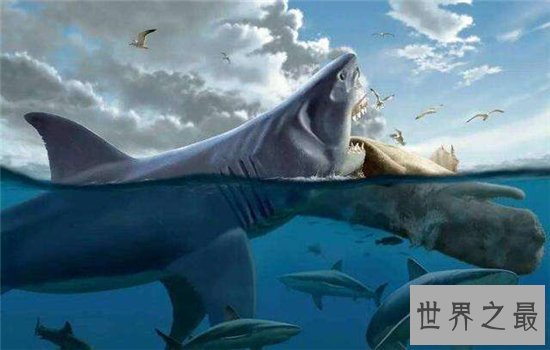 巨牙鲨在2013年疑似被发现，杀伤力比龙王鲸还厉害