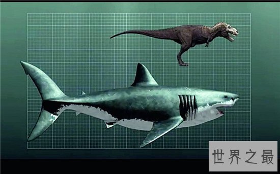 巨牙鲨在2013年疑似被发现，杀伤力比龙王鲸还厉害