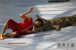 鳄鱼吃人事件频频发生，1945年鳄鱼吃掉900多日军