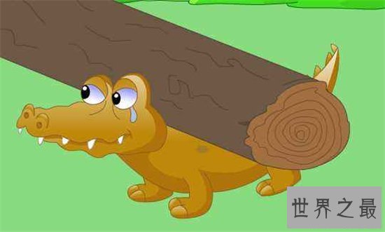 鳄鱼的眼泪真实含义，其实流出的液体并不是眼泪