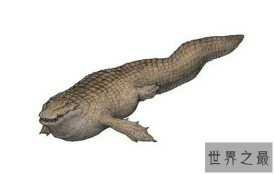 史前四大最大型鳄鱼, 你见过牙齿比成人还大的古鳄吗?