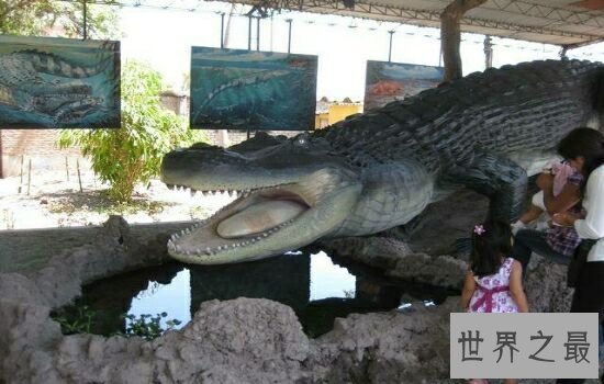 史前四大最大型鳄鱼, 你见过牙齿比成人还大的古鳄吗?