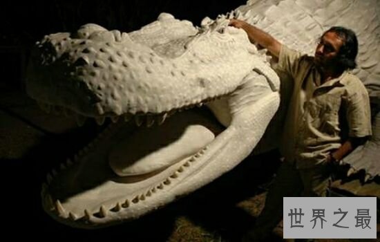 史前四大最大型鳄鱼, 你见过牙齿比成人还大的古鳄吗?