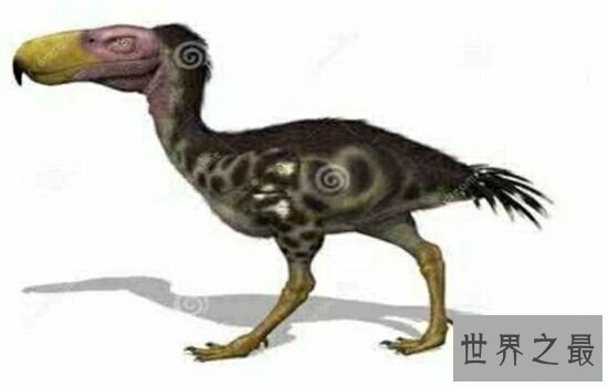 史上十大巨兽排行榜中,我们最熟悉的恐龙竟然不在内!