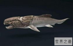 史上十大巨兽排行榜中，我们最熟悉的恐龙竟然不在内！