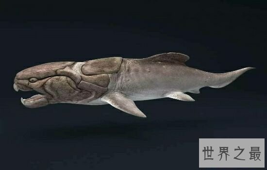 史上十大巨兽排行榜中,我们最熟悉的恐龙竟然不在内!