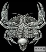 蟹奴是螃蟹身上的寄生虫，螃蟹将会成为僵尸蟹