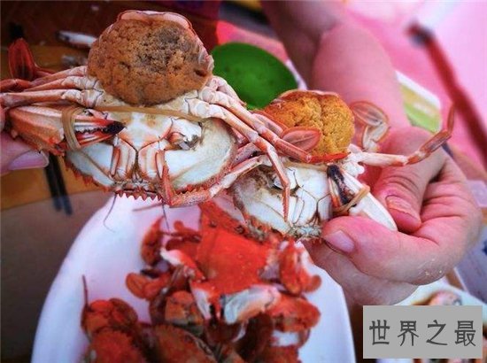 蟹奴是螃蟹身上的寄生虫，螃蟹将会成为僵尸蟹