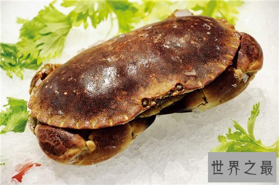 正直爱洁蟹是含有河豚剧毒的螃蟹，与面包蟹长相相似