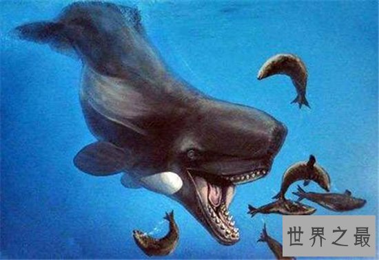 梅尔维尔鲸堪称世界上最凶猛的鲸鱼,取名来自于小说