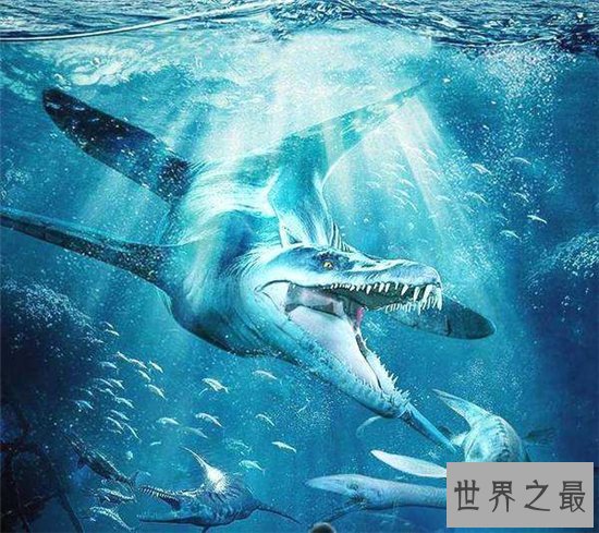梅尔维尔鲸堪称世界上最凶猛的鲸鱼,取名来自于小说