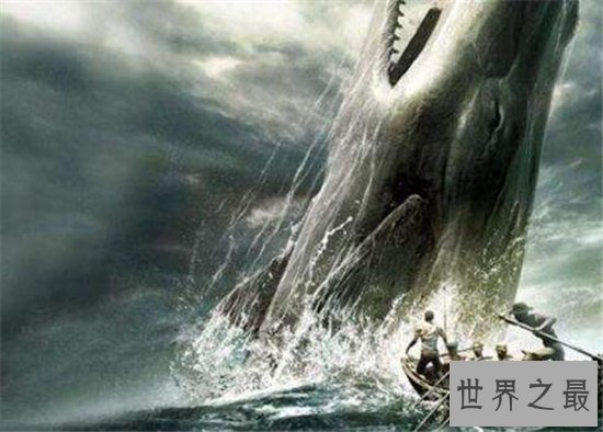 梅尔维尔鲸堪称世界上最凶猛的鲸鱼,取名来自于小说