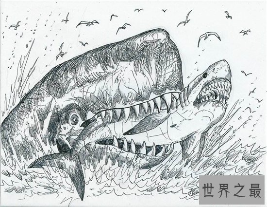 梅尔维尔鲸堪称世界上最凶猛的鲸鱼,取名来自于小说
