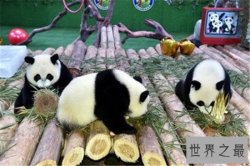 中国十大人气动物园排行榜，北京动物园的历史竟然这么悠久！