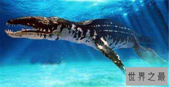 对于海洋十大霸主排行,远古猛兽苍龙被称为终极水怪