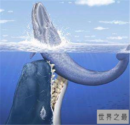 对于海洋十大霸主排行,远古猛兽苍龙被称为终极水怪