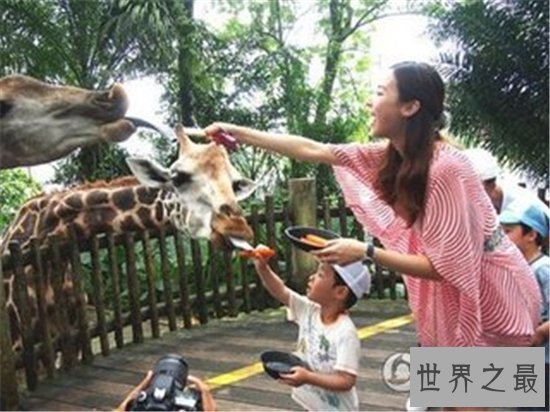 世界十大最美动物园,(新加坡)这么小的动物园竟然有这么多有趣的生物!