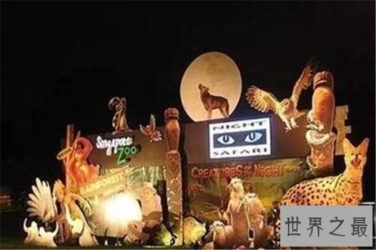 世界十大最美动物园,(新加坡)这么小的动物园竟然有这么多有趣的生物!