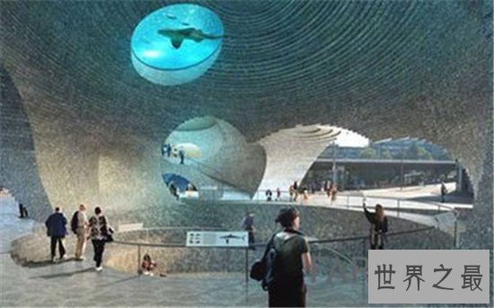 世界十大最美动物园,(新加坡)这么小的动物园竟然有这么多有趣的生物!