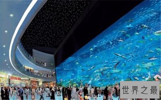 世界十大最美动物园,(新加坡)这么小的动物园竟然有这么多有趣的生物!