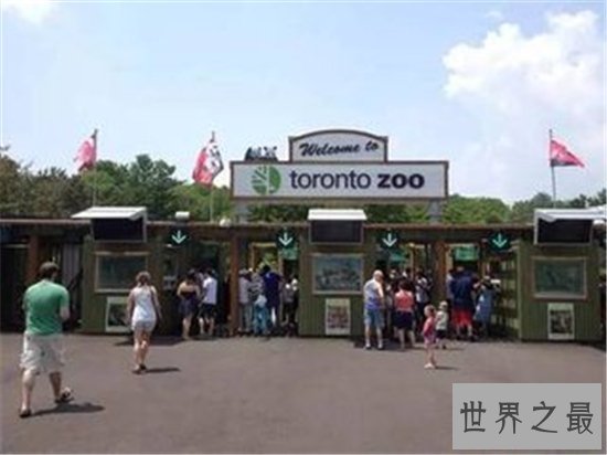 世界十大最美动物园,(新加坡)这么小的动物园竟然有这么多有趣的生物!