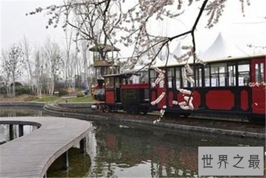 世界十大最美动物园,(新加坡)这么小的动物园竟然有这么多有趣的生物!