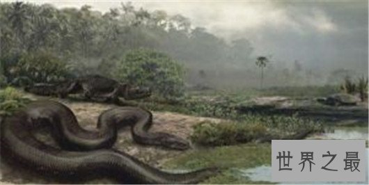 世界上最长的蛇有三层楼那么高，可达四五个人的重量
