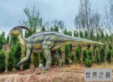 盘点世界上最大的恐龙  远古时期世界的统治者！