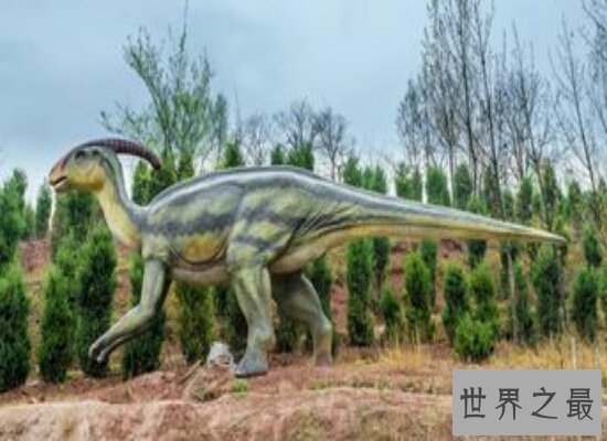 盘点世界上最大的恐龙  远古时期世界的统治者！