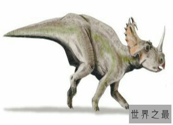 盘点世界上最大的恐龙  远古时期世界的统治者！