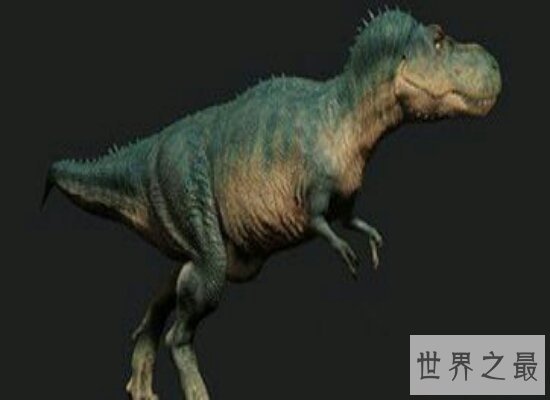 盘点世界上最大的恐龙  远古时期世界的统治者！