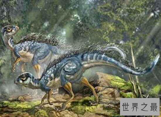 盘点世界上最大的恐龙  远古时期世界的统治者！