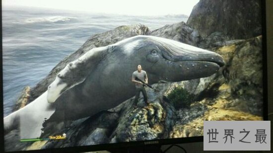 最大的动物，一尾巴就能将你扫的粉身碎骨！