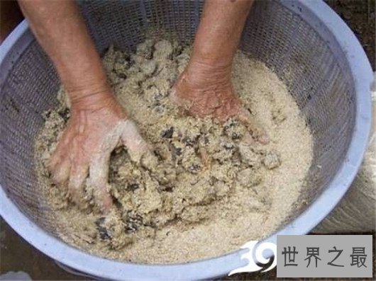 非洲大蜗牛不但外形恐怖，误食还会造成死亡