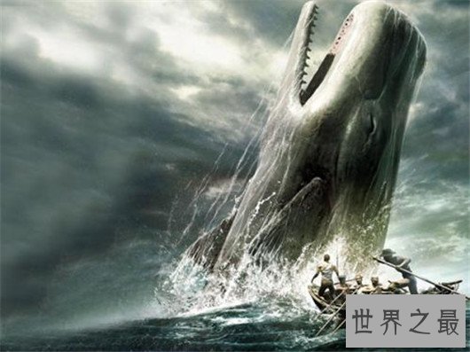 远古巨兽梅尔维尔鲸，和巨齿鲨同级别存在的怪物