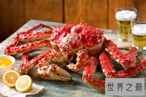 世界最大的螃蟹皇帝蟹 怎么吃好吃是个问题