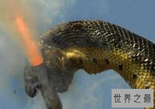 世界最大的蛇 这个长达五百米的大蛇吃掉600人