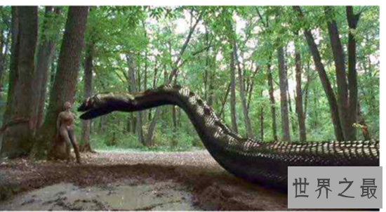 历史上最大的蛇竟让可以吞下这种动物！颠覆三观的物种！