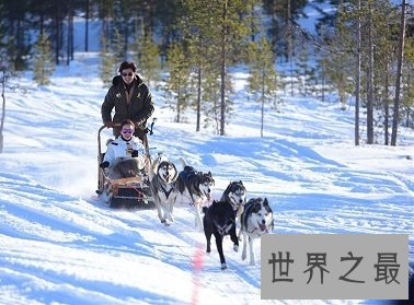 有着同样冷酷凶猛外表的哈士奇和狼有哪些异同点