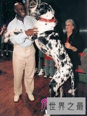 对于有生命有感情有家人的宠物，如何看待宠物安乐死