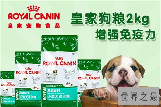 狗狗家长们快看过来，狗粮什么牌子好