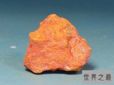 蛇怕什么东西 学会这几招蛇看见你绕道走