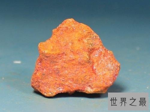 蛇怕什么东西 学会这几招蛇看见你绕道走