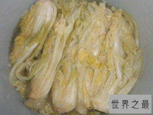 蛇怕什么东西 学会这几招蛇看见你绕道走