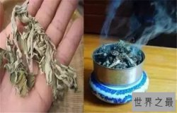 蚊子怕什么？巧妙利用身边的小东西消灭蚊子