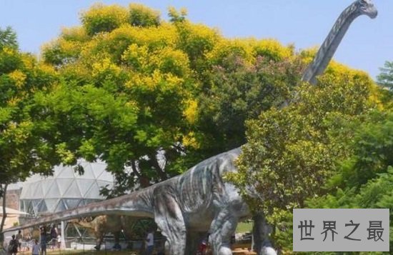 世界上最大的恐龙排行，220吨易碎双腔龙勇夺第一