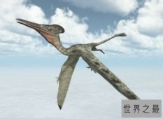 史上最全恐龙图片大全看这里，这些恐龙可不是盖的（凶猛无比）