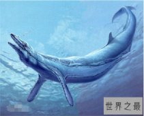 龙王鲸是如何灭绝的 曾是海陆大型爬行动物	